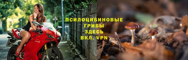 мескалин Гусев