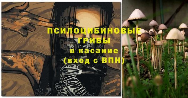 кокс Гусь-Хрустальный