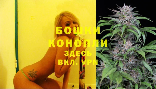 кокс Гусь-Хрустальный
